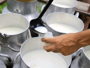 Asistencia Técnica para producción de leche de calidad