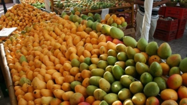República Dominicana volverá a exportar frutas hacia Japón