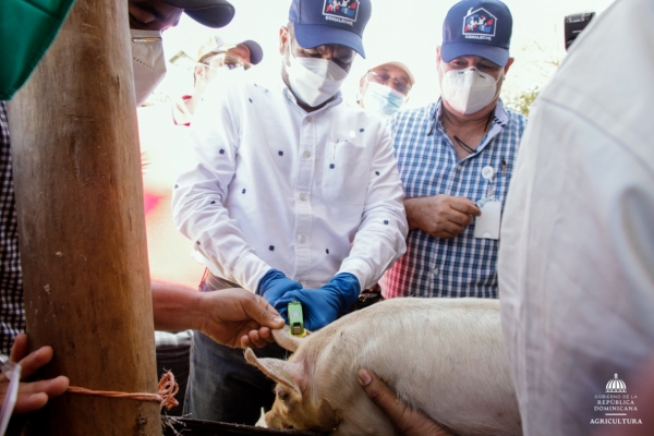 Se da inicio a la Primera Jornada Nacional de Vacunación contra la Peste Porcina Clásica (PPC)