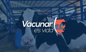 Dirección de Ganadería desarrolla la campaña “Vacunar es vida”
