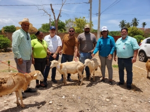 DIGEGA entrega 28 padrotes a asociaciones de Pedernales