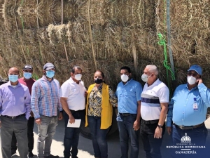 Ganadería entrega pacas de pastos en la provincia de Santiago Rodríguez