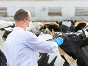 Acreditación Profesionales Veterinarios